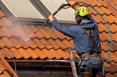 Démoussage et hydrofuge de toiture au Plessis-l'Échelle